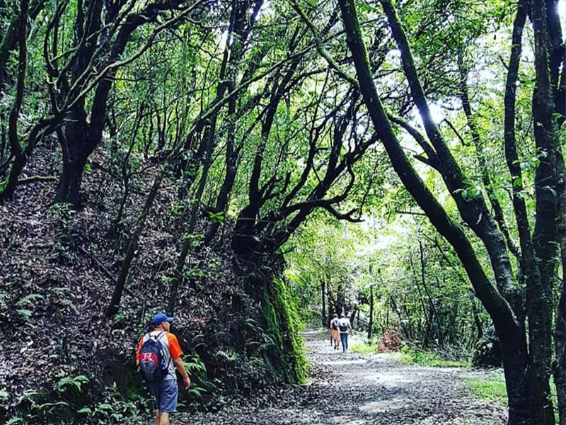 Nagarjun Hill Hike