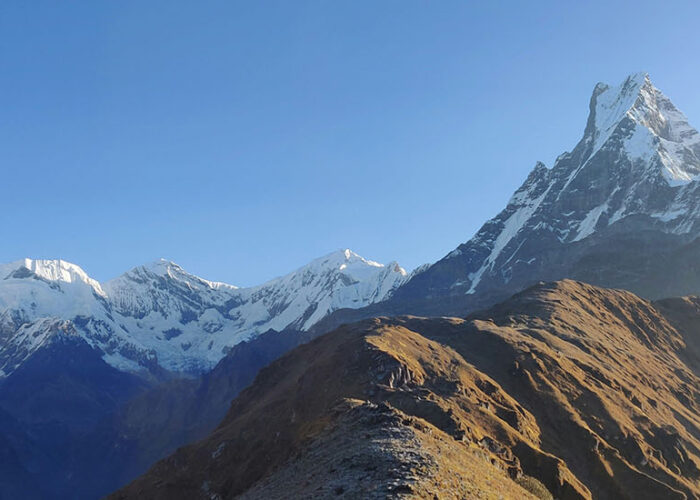 mardi himal base camp
